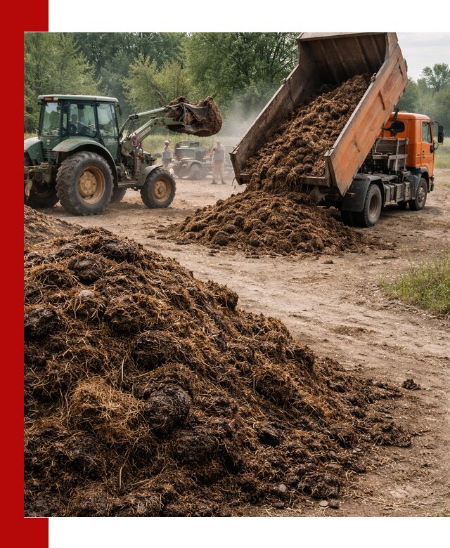 Доставка навоза самосвалами в Набережных Челнах для сельхозпотребностей